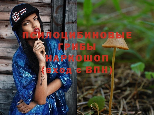 не бодяженный Арсеньев