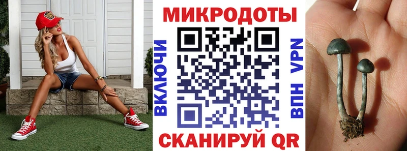 Псилоцибиновые грибы Magic Shrooms  купить  цена  Биробиджан 